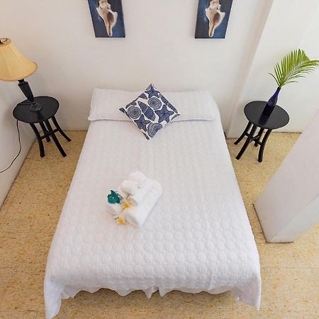 Vieques Tropical Guest House المظهر الخارجي الصورة