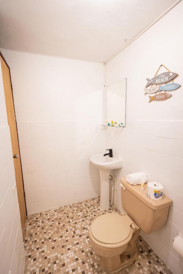 Vieques Tropical Guest House المظهر الخارجي الصورة